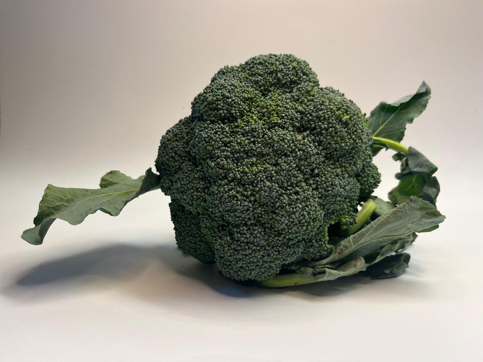Brokoli