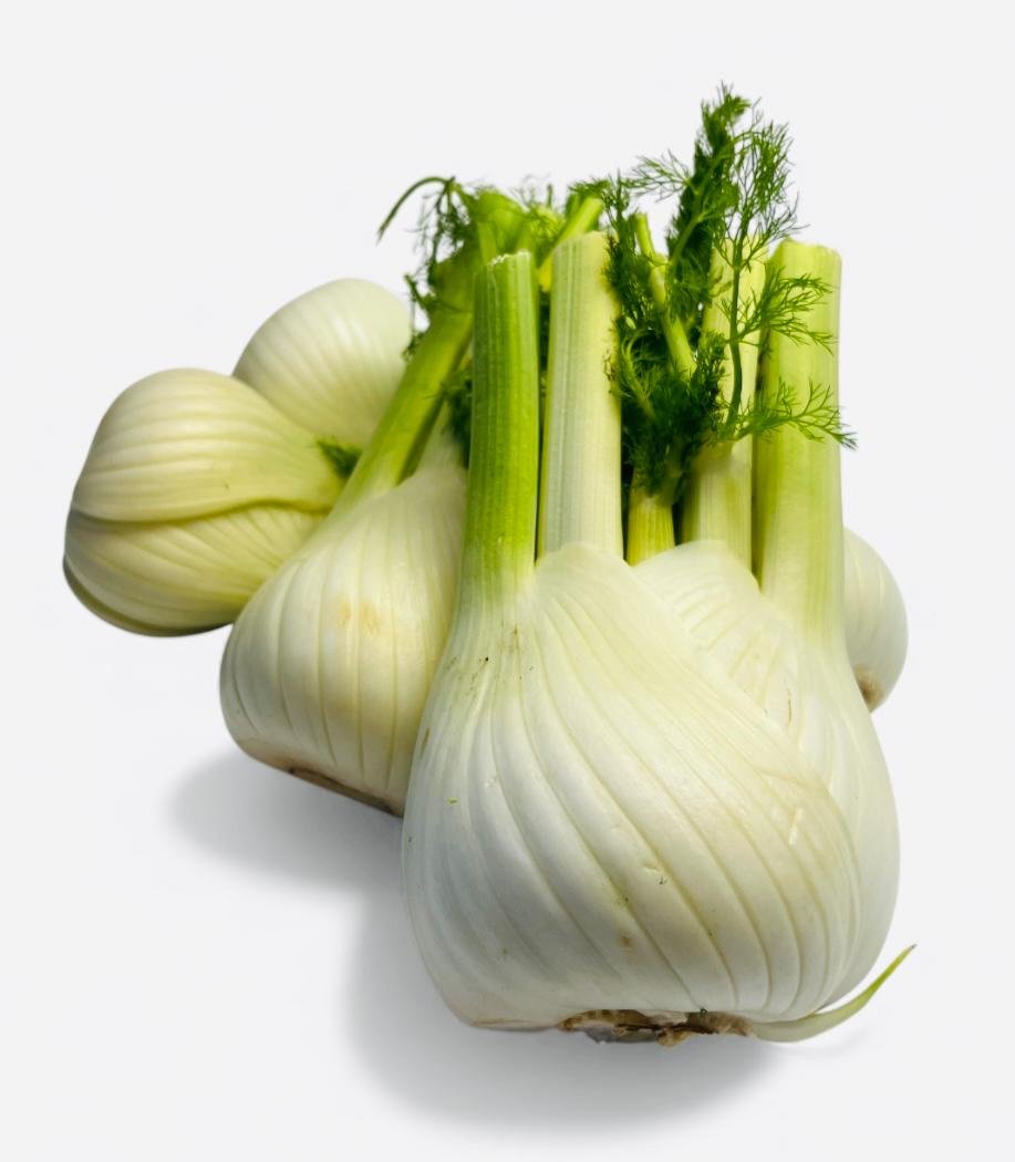 Fenchel