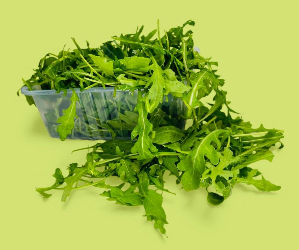Rucola