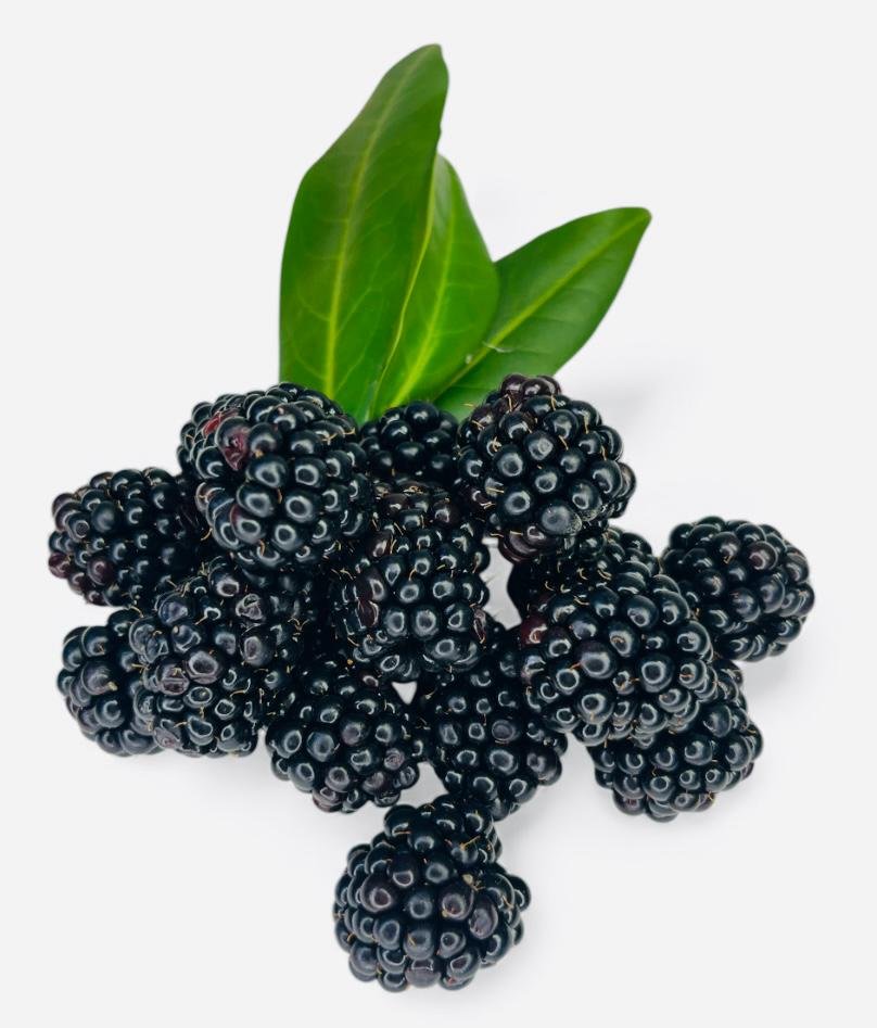 Brombeeren