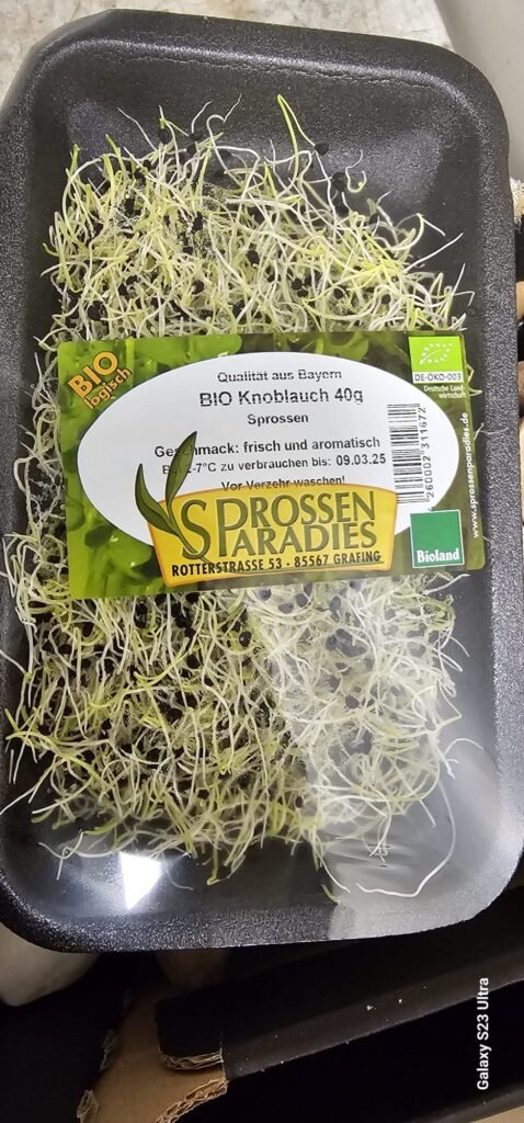 Knoblauchsprossen
