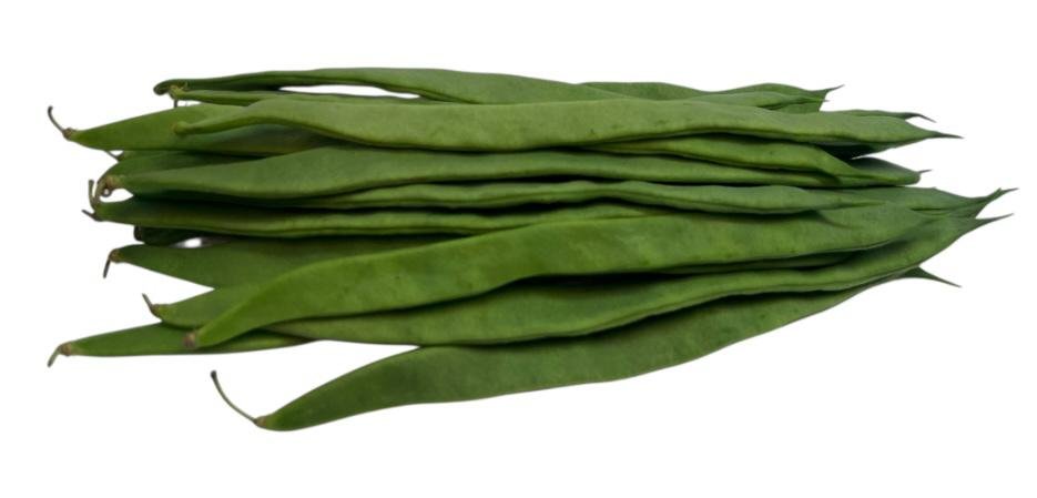 Breite Bohnen