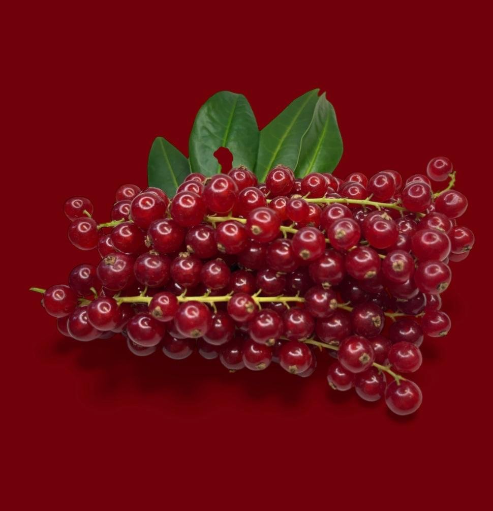 Johannisbeeren
