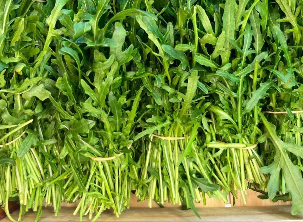 Rucola Bund